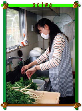 2009-daikon-01